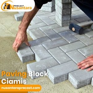 Paving Block Ciamis